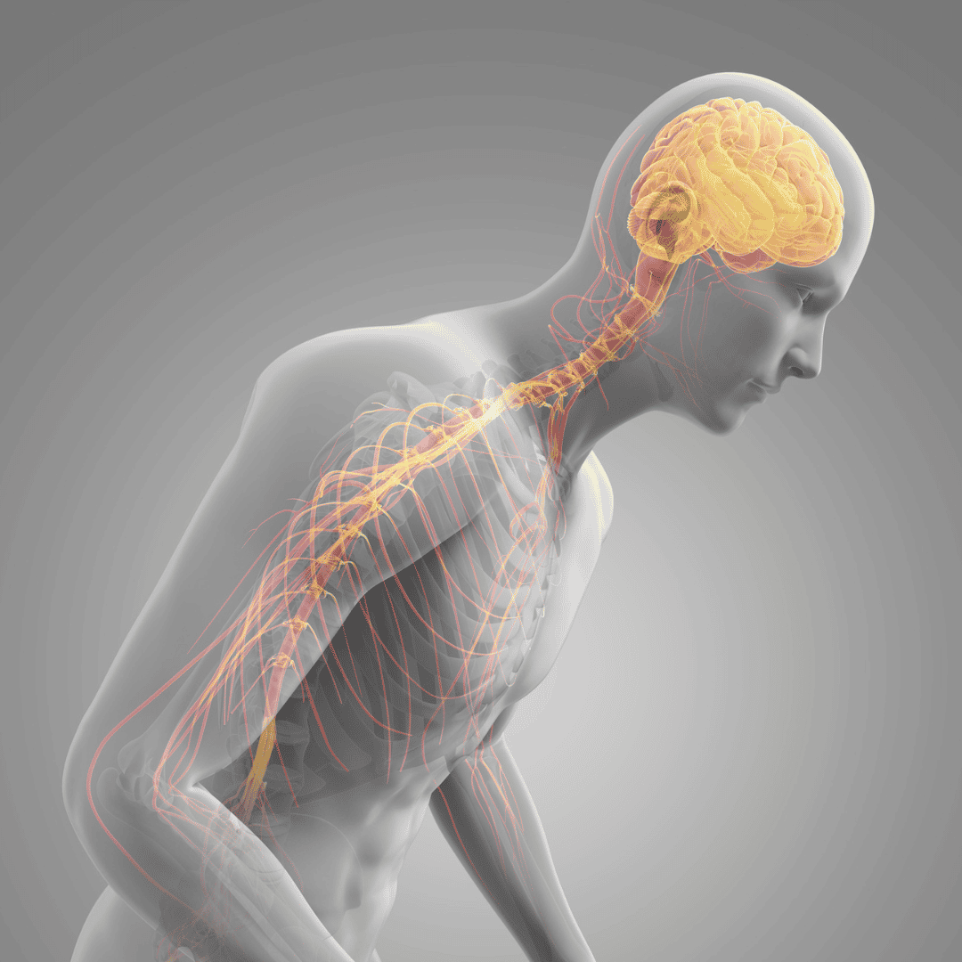 India and Colombia's Collaborative Efforts in Advancing Parkinson's Disease Treatment with Exosome-Enhanced Stem Cell Therapy