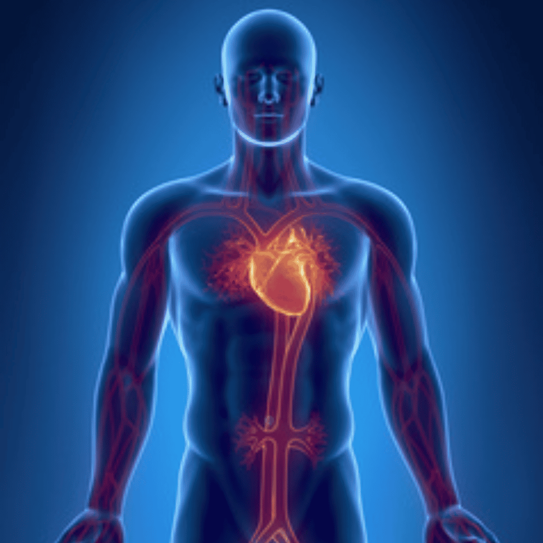 Coronary Angioplasty & Stent Insertion in Seoul South Korea