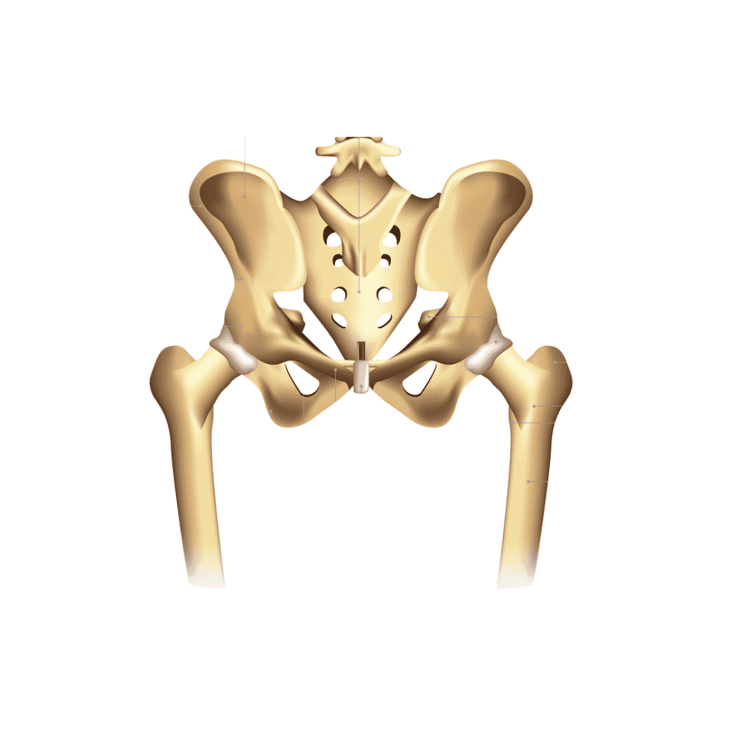 TURAN&TURAN Health Group, Hip Arthroscopy Surgery Packages in Bursa, Istanbul, Turkey 