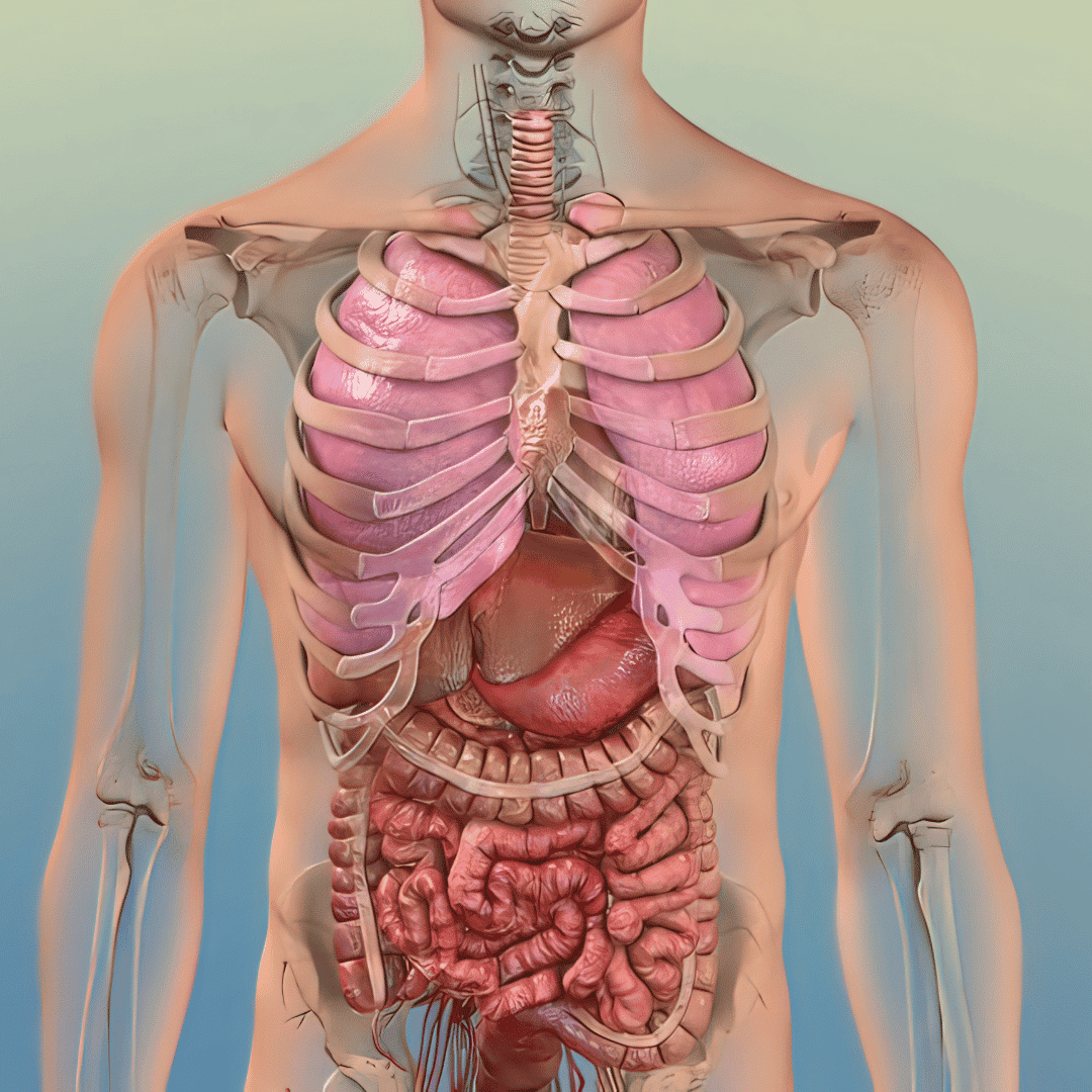 Stem Cell Therapy for COPD Package by Integra Medical Center in Nuevo Progreso, Mexico