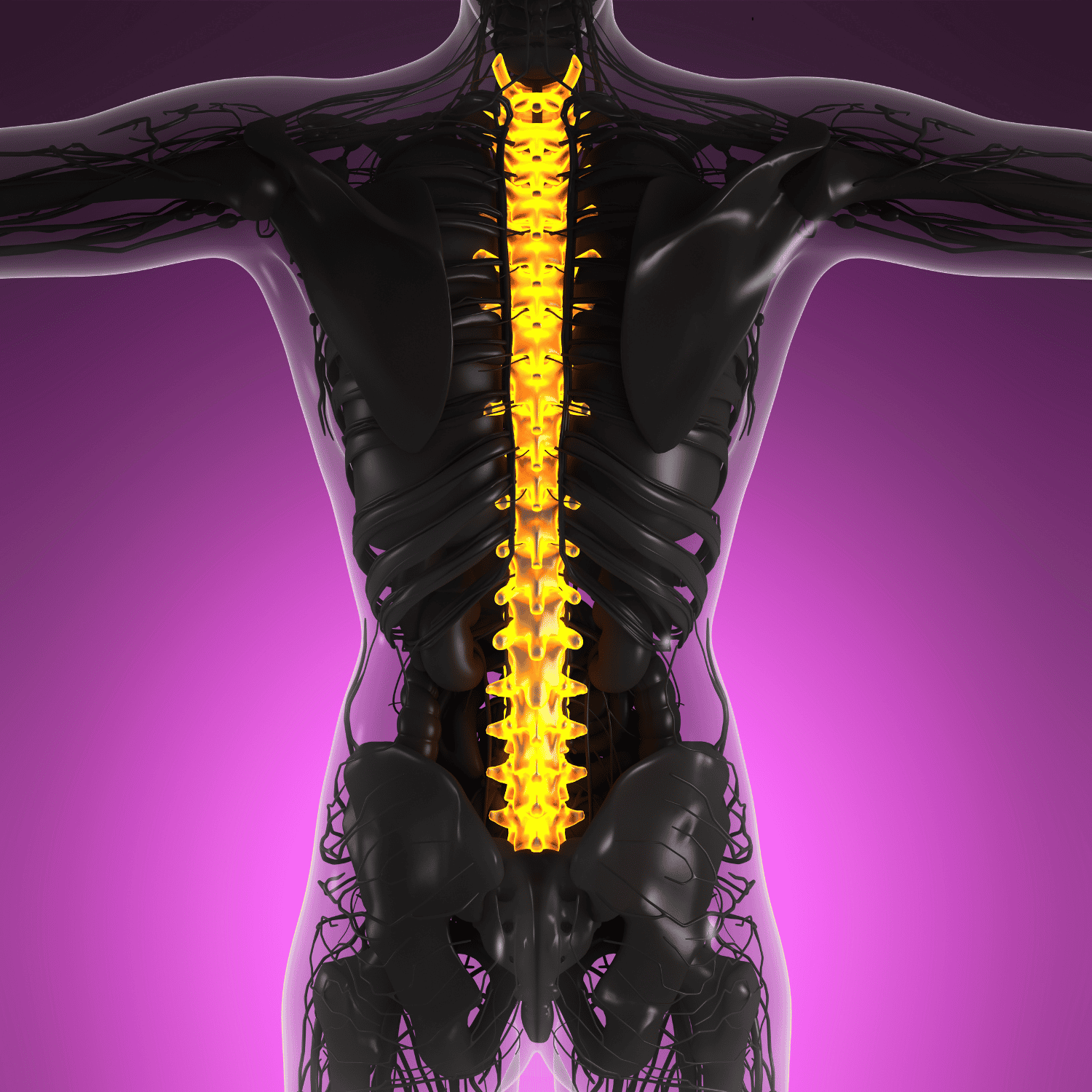 Dr. Ozcan Clinic Spinal Stabilization and Fusion Surgery in Istanbul, Turkey 