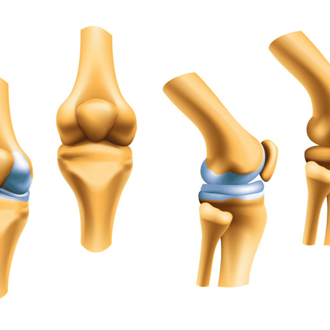 Orthopedics Regenerative Medicine in Florida Plantation, USA